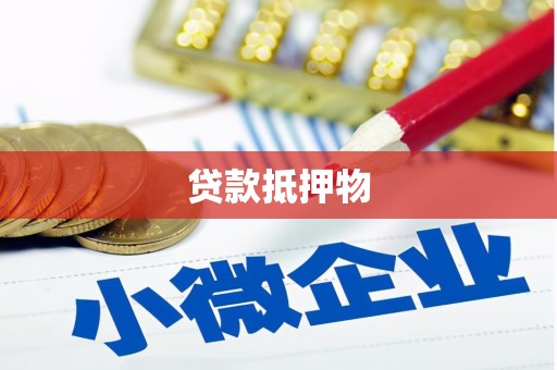 廉江贷款抵押物