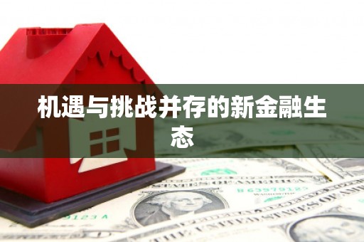 新洲机遇与挑战并存的新金融生态