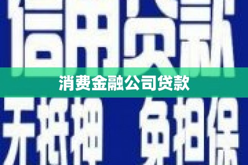 台西消费金融公司贷款