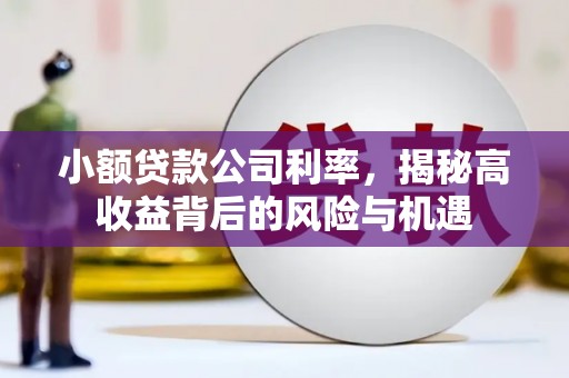 南化小额贷款公司利率，揭秘高收益背后的风险与机遇