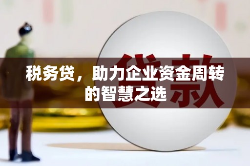 南平税务贷，助力企业资金周转的智慧之选