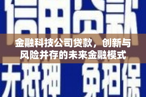 拉孜金融科技公司贷款，创新与风险并存的未来金融模式
