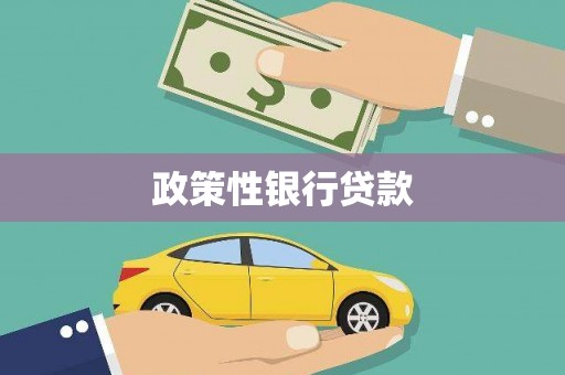 开平政策性银行贷款