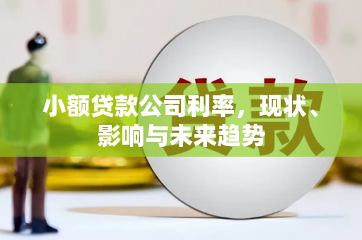 宁晋小额贷款公司利率，现状、影响与未来趋势