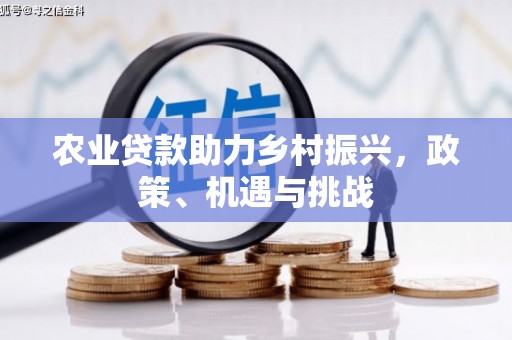 阿瓦提农业贷款助力乡村振兴，政策、机遇与挑战