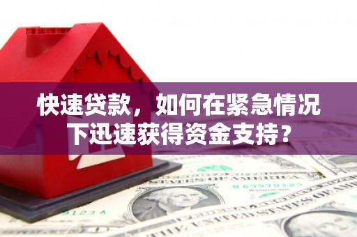 武川快速贷款，如何在紧急情况下迅速获得资金支持？