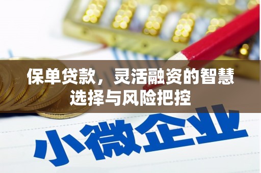 南岳保单贷款，灵活融资的智慧选择与风险把控