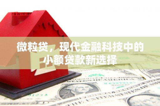 盂县微粒贷，现代金融科技中的小额贷款新选择