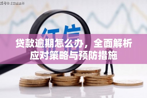 金安贷款逾期怎么办，全面解析应对策略与预防措施