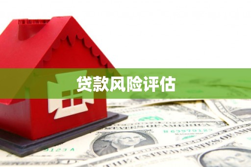 米东贷款风险评估
