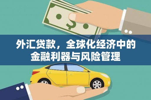苍南外汇贷款，全球化经济中的金融利器与风险管理