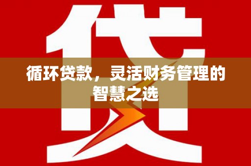 会同循环贷款，灵活财务管理的智慧之选