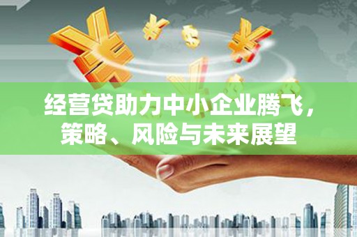 福田经营贷助力中小企业腾飞，策略、风险与未来展望