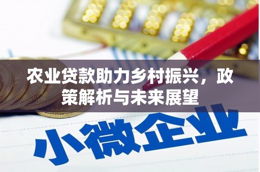 崇仁农业贷款助力乡村振兴，政策解析与未来展望