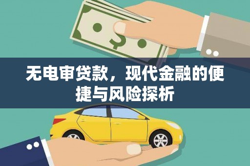 通霄无电审贷款，现代金融的便捷与风险探析