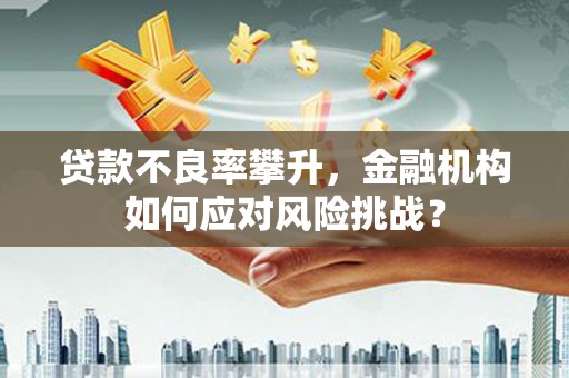佳木斯贷款不良率攀升，金融机构如何应对风险挑战？