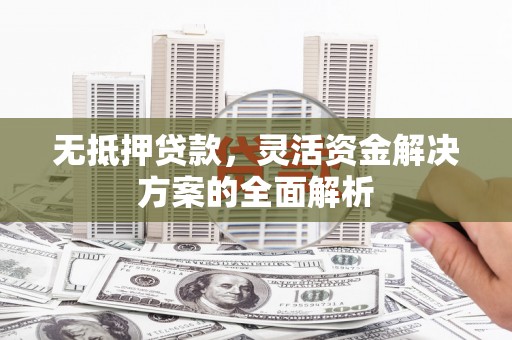 公安无抵押贷款，灵活资金解决方案的全面解析