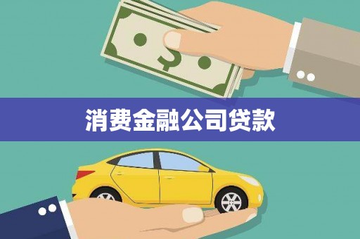 埌东消费金融公司贷款