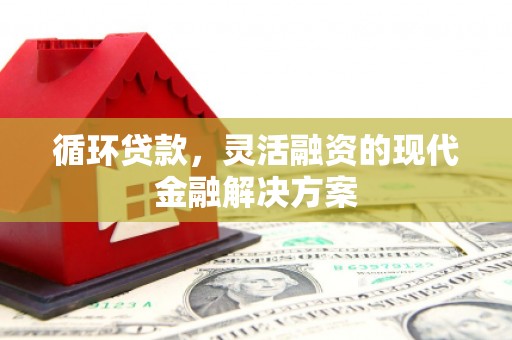 永康循环贷款，灵活融资的现代金融解决方案