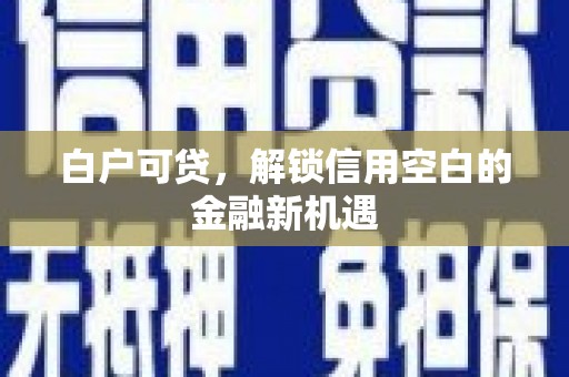 泰山白户可贷，解锁信用空白的金融新机遇
