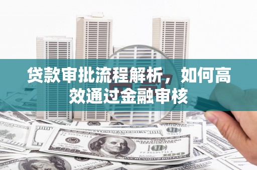 务川贷款审批流程解析，如何高效通过金融审核