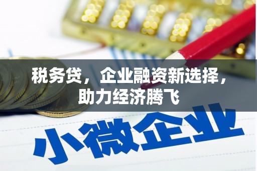 鱼峰税务贷，企业融资新选择，助力经济腾飞