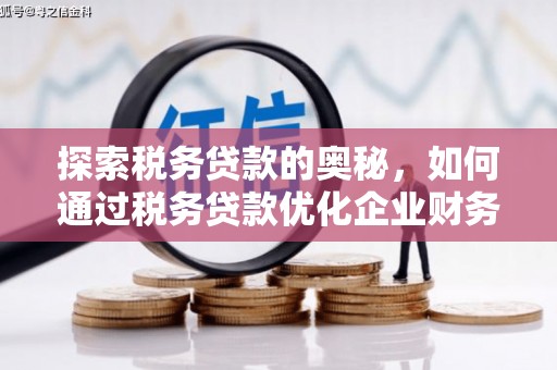 锡林郭勒探索税务贷款的奥秘，如何通过税务贷款优化企业财务