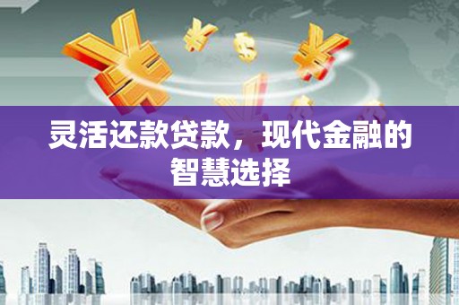 大堂灵活还款贷款，现代金融的智慧选择