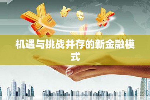 茂林机遇与挑战并存的新金融模式