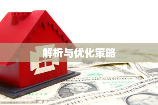 朴子解析与优化策略