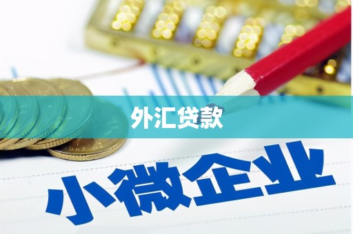 八里外汇贷款