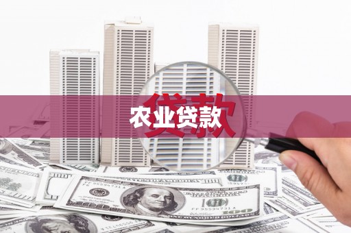 利辛农业贷款