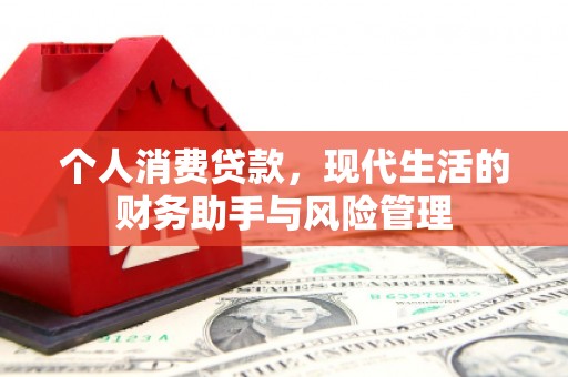 疏勒个人消费贷款，现代生活的财务助手与风险管理