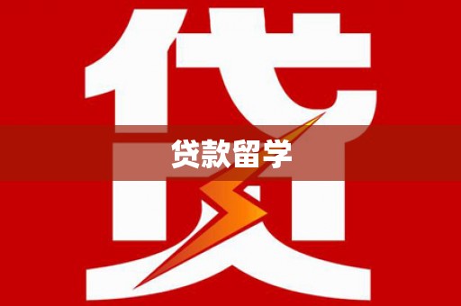 大武贷款留学