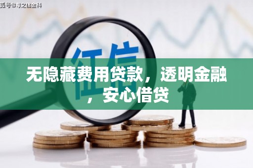 魏县无隐藏费用贷款，透明金融，安心借贷