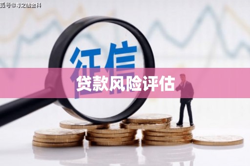 青冈贷款风险评估