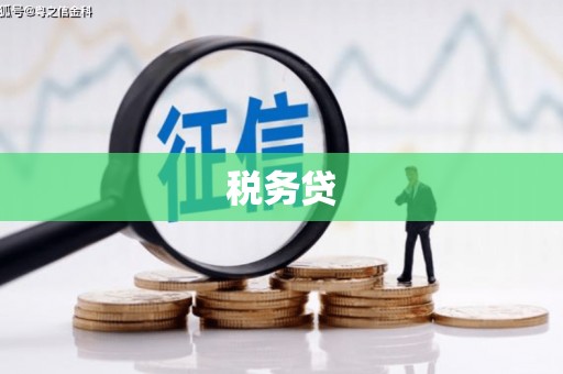 公安税务贷
