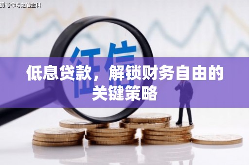 温宿低息贷款，解锁财务自由的关键策略