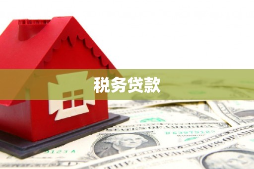大安税务贷款