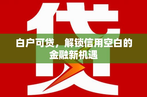 颍泉白户可贷，解锁信用空白的金融新机遇