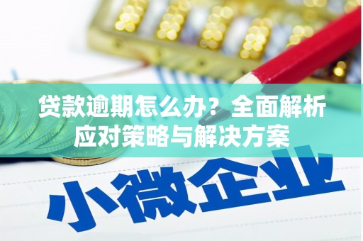 柳南贷款逾期怎么办？全面解析应对策略与解决方案