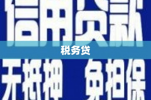 岷县税务贷