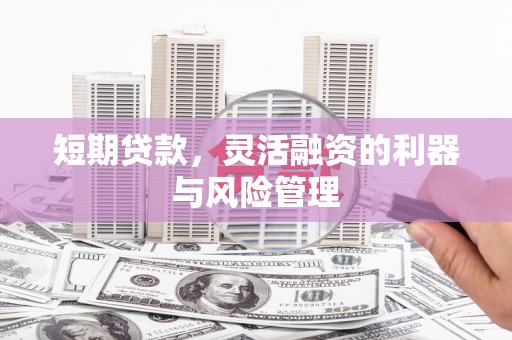 洛南短期贷款，灵活融资的利器与风险管理