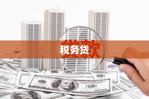 新民税务贷
