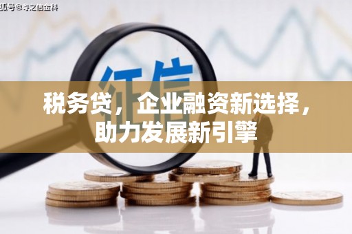 扎鲁特旗税务贷，企业融资新选择，助力发展新引擎