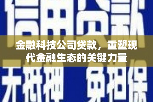 雨城金融科技公司贷款，重塑现代金融生态的关键力量
