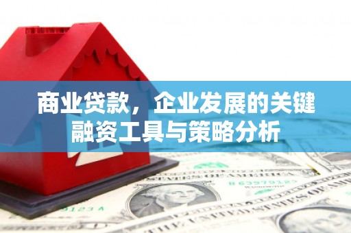 镇赉商业贷款，企业发展的关键融资工具与策略分析