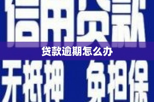 埔心贷款逾期怎么办