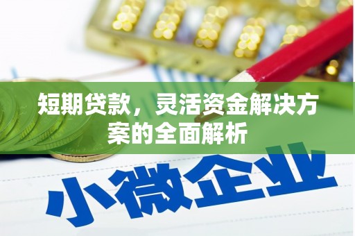 大涌短期贷款，灵活资金解决方案的全面解析