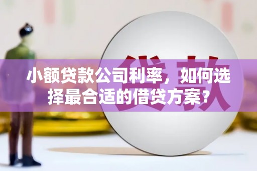 浦北小额贷款公司利率，如何选择最合适的借贷方案？